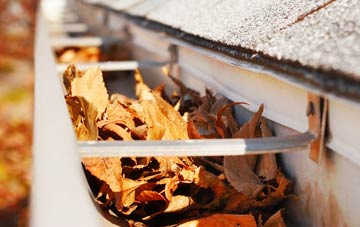 Lochwood gutter cleaning companies